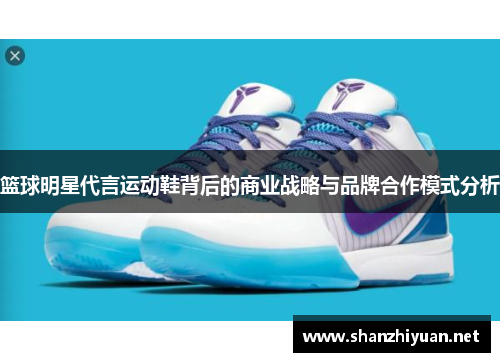 篮球明星代言运动鞋背后的商业战略与品牌合作模式分析